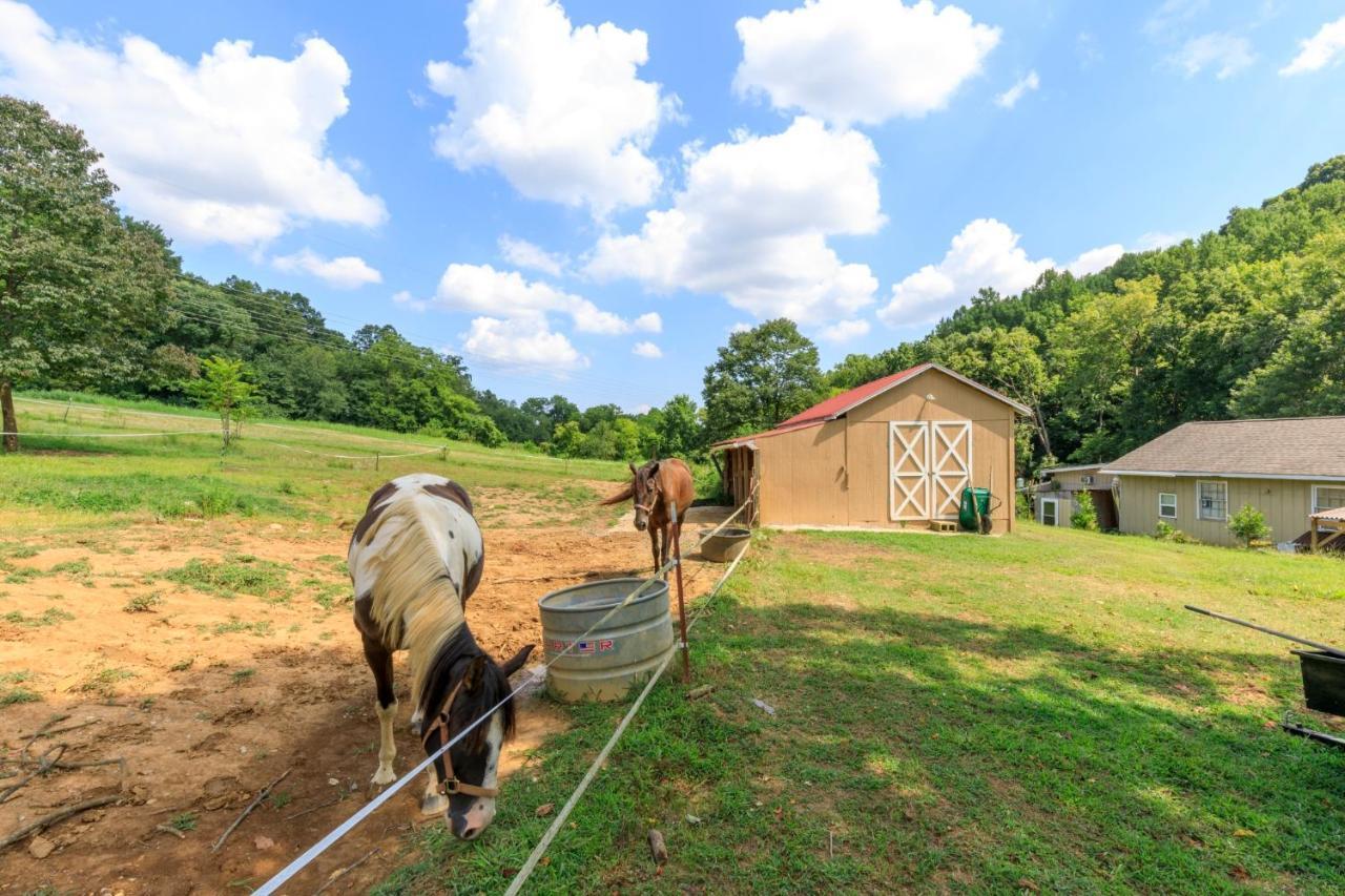 4 Bedroom Country Getaway Nashville Exteriér fotografie